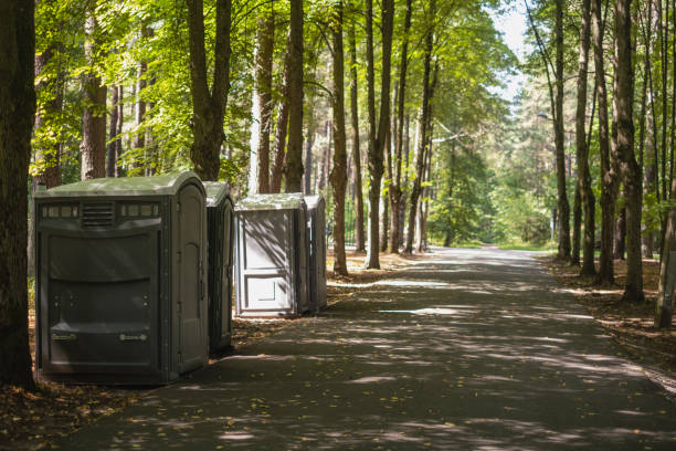 Best Luxury portable toilet rental  in Lyons, WI